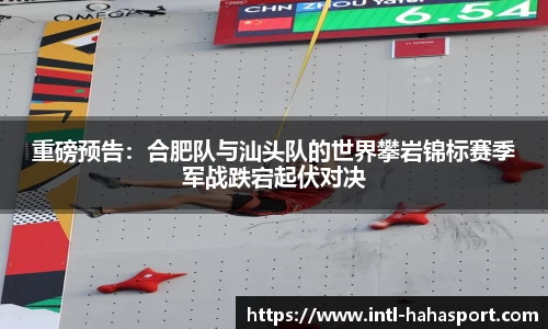 哈哈体育官网